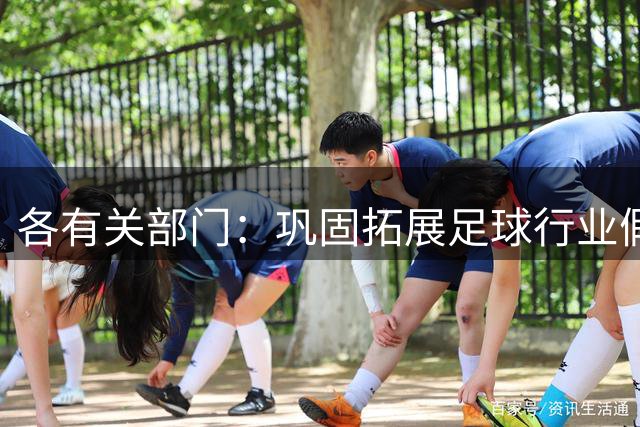各有关部门：巩固拓展足球行业假赌黑治理成效