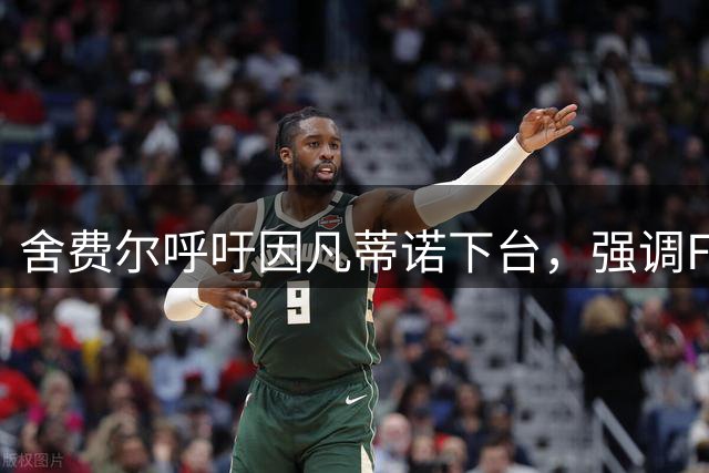 舍费尔呼吁因凡蒂诺下台，强调FIFA改革迫在眉睫